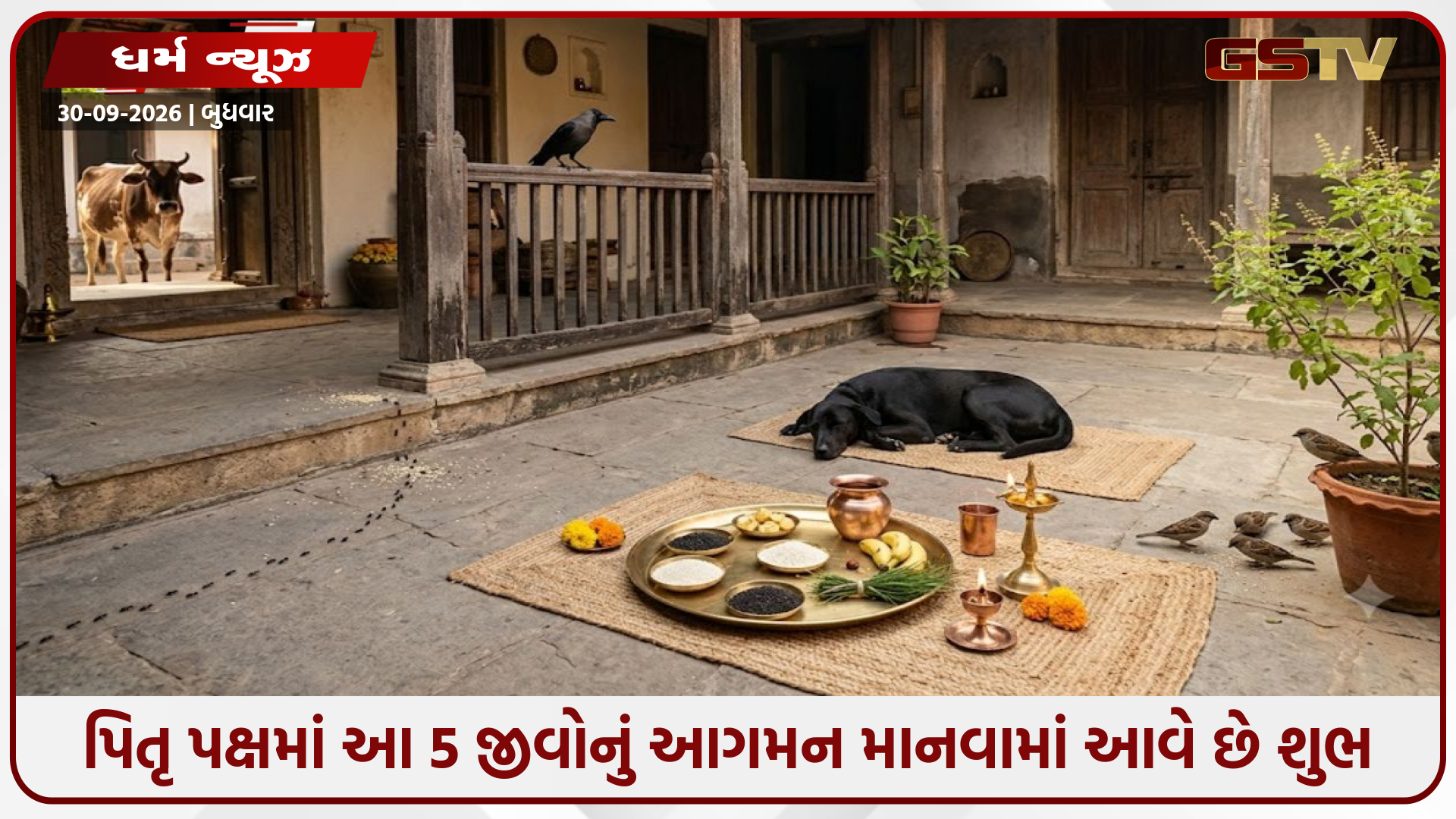પિતૃ પક્ષમાં આ 5 જીવોનું આગમન માનવામાં આવે છે અત્યંત શુભ: જાણો પિતૃઓના આશીર્વાદ અને સંકેતો