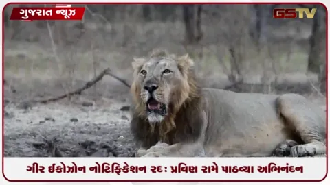 VIDEO: ગિર ઇકોઝોન નોટિફિકેશન રદ થતા ખેડૂતોને પ્રવિણ રામે પાઠવ્યા અભિનંદન