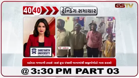 VIDEO: વડોદરામાં ખાણીપીણીની લારીઓ-હોટેલોમાં મનપાનું ચેકિંગ, અજીનોમોટાનો મોટો જથ્થો ઝડપાતા સ્થળ પર નાશ