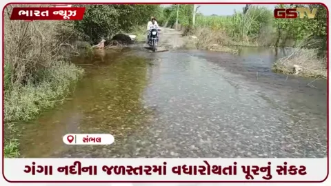 VIDEO: ગંગા નદીના જળસ્તરમાં વધારો થતાં પૂરનું સંકટ: અનેક ગામોમાં પાણી ઘૂસતા ખેડૂતો ચિંતિત