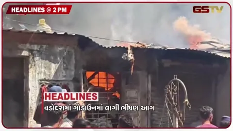 VIDEO: HEADLINE_2.00_PM /  વડોદરાના ગોડાઉનમાં લાગી ભીષણ આગ, શિક્ષક પર અશ્લીલ મેસેજ મોકલવાનો આરોપ