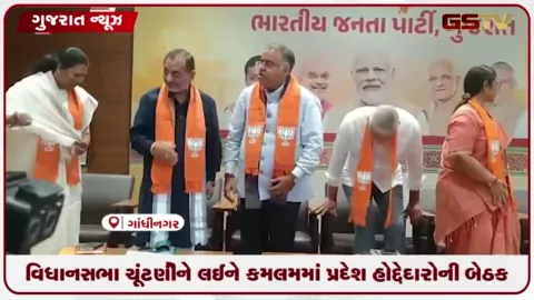 VIDEO: ગુજરાત વિધાનસભા ચૂંટણીને લઈને ગાંધીનગરમાં ભાજપ પ્રદેશ પ્રભારી અને દિગ્ગજ નેતાઓની મહત્વની બેઠક