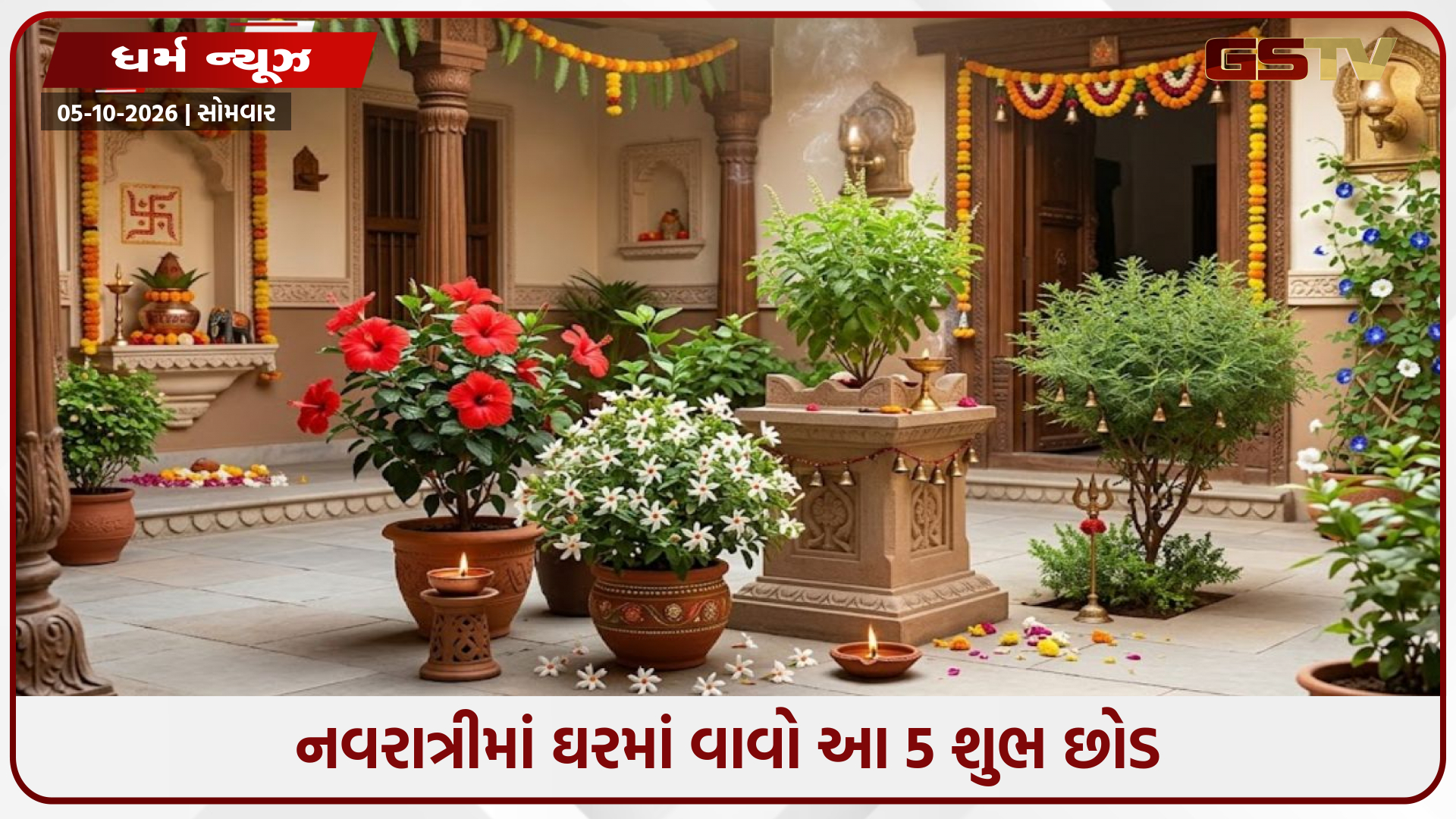 નવરાત્રીમાં ઘરમાં વાવો આ 5 શુભ છોડ: માં દુર્ગાના આશીર્વાદ સાથે ઘરમાં આવશે સુખ-સમૃ
