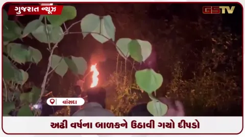 VIDEO: નવસારીના ભીનારમાં ઘર આંગણે રમતા અઢી વર્ષના માસૂમને દીપડો ઉપાડી ગયો, બાળકનું મોત