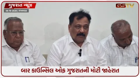 VIDEO: રાજ્યભરમાં ચાલી રહેલી વકીલોની હડતાળ પરત ખેંચવાનો નિર્ણય, નવા કાયદાની સમીક્ષા માટે સમિતિ બનશે