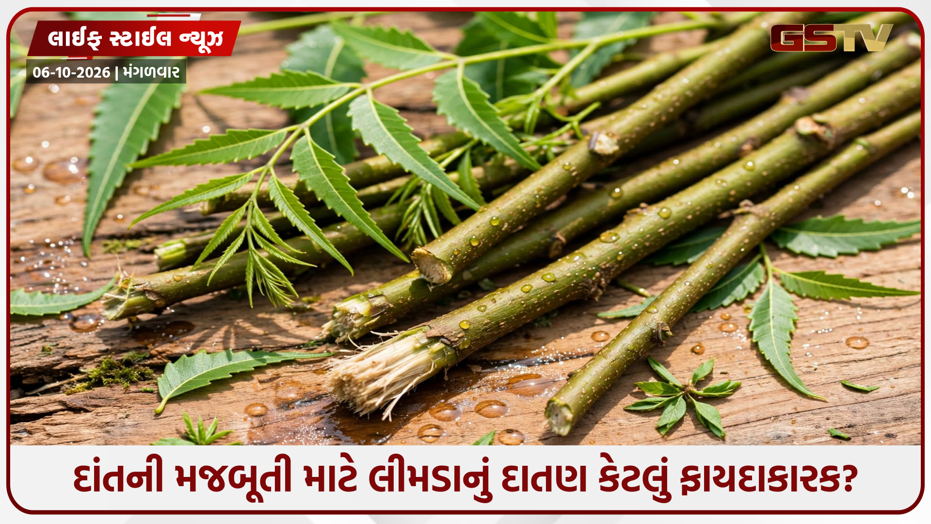 લીમડાનું દાતણ કરવાથી શું થાય? જાણો દાંત માટે તેના ફાયદા, નુકસાન અને સાચી રીત!