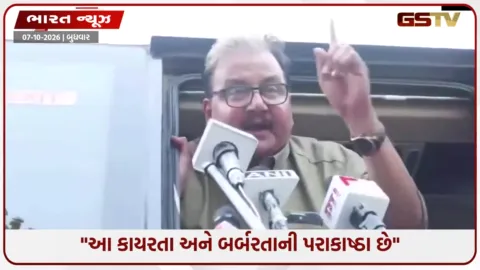 VIDEO: 'મોદી- શાહ- જ્ઞાનેશકુમાર- તમે બધા કાયર છો, ડરપોક છો', અટકાયત વેળાએ લાઠીચાર્જનો આક્ષેપ કરી RJD સાંસદ મનોજ ઝા કેન્દ્ર પર તૂટી પડ્યા