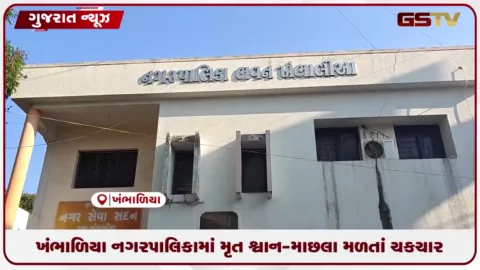 VIDEO: ખંભાળિયા નગરપાલિકામાં મૃત શ્વાન-માછલા મળતાં ચકચાર