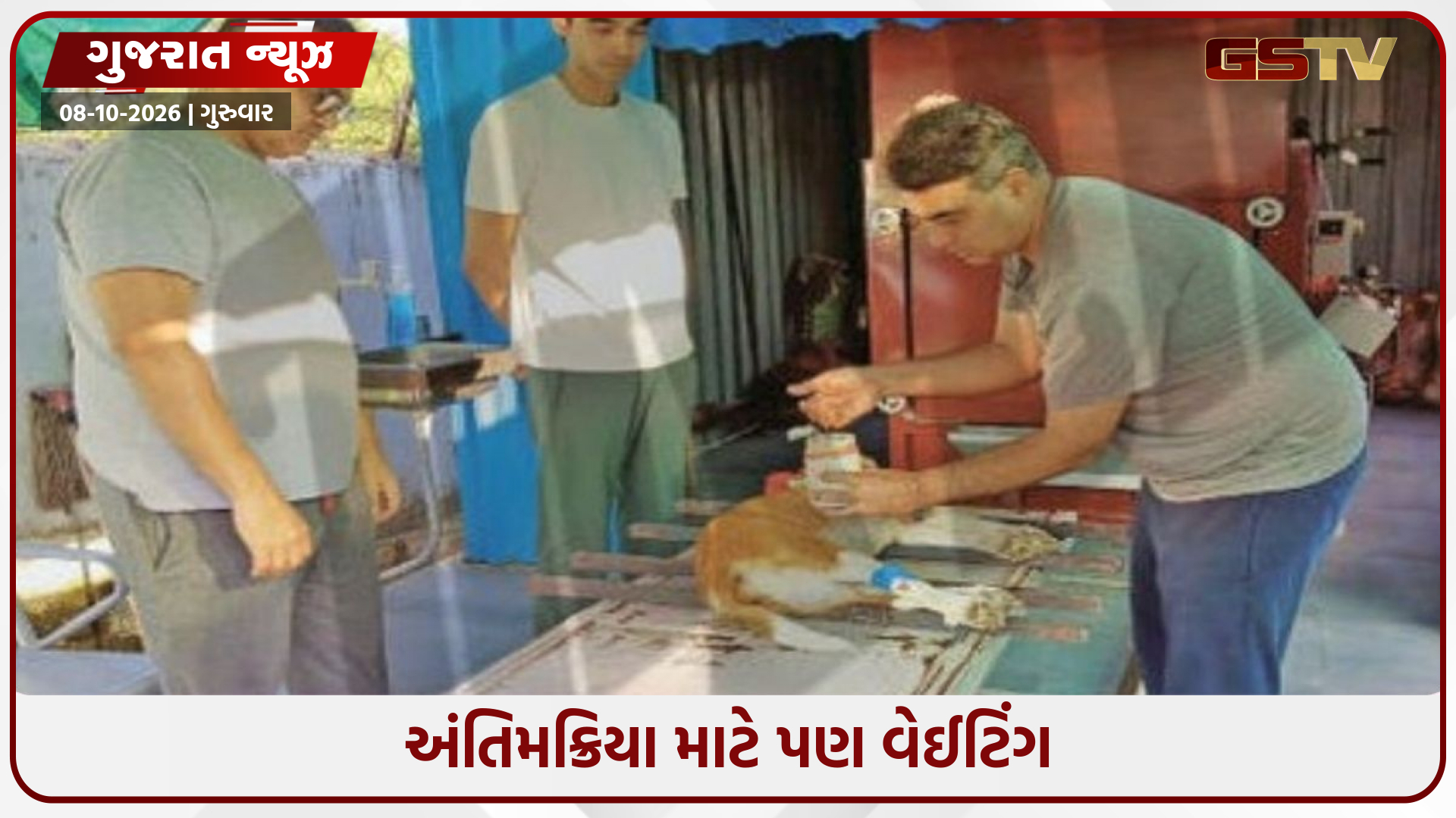 માણસોની જેમ શ્વાનની પણ અંતિમવિધિ, અમદાવાદમાં 9 મહિનામાં 600 અગ્નિસંસ્કાર