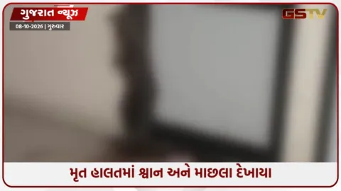 VIDEO: ખંભાળિયા પાલિકામાં અજાણ્યા શખ્સો મૃત શ્વાન અને માછલા મૂકી ગયા; કર્મચારીઓમાં દોડધામ