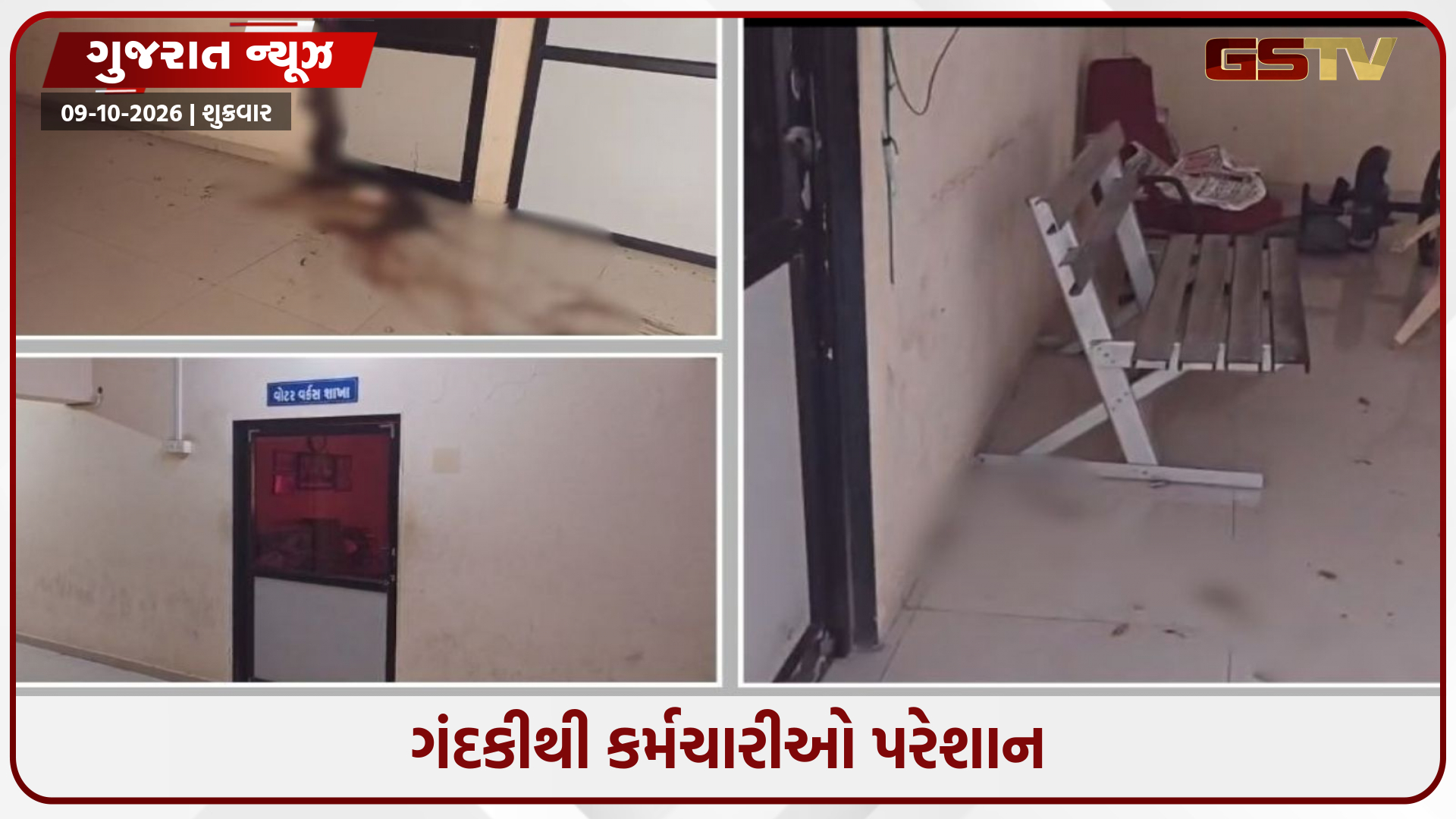 ખંભાળિયા પાલિકામાં ધૃણાસ્પદ કૃત્ય: ચીફ ઓફિસરની ચેમ્બર નજીક મૃત શ્વાન લટકાવ્યું