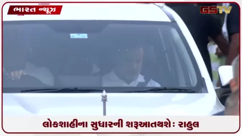 VIDEO: દેશની લોકશાહીમાં સુધારની શરૂઆત થશે: રાહુલ