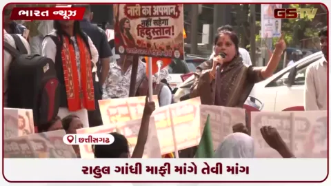 VIDEO: રાહુલ ગાંધી માફી માંગે તેવી માંગ