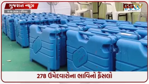 VIDEO: ગાંધીનગર મ્યુનિ.કોર્પોરેશન અને બે પાલિકામાં ચૂંટણીનો મહાસંગ્રામ, 105 બેઠક પર મતદાન